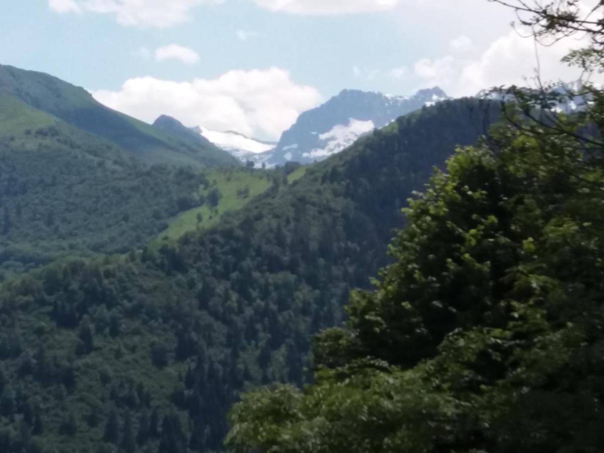 Le Pre De La Fontaine Bed & Breakfast Billiere Dış mekan fotoğraf
